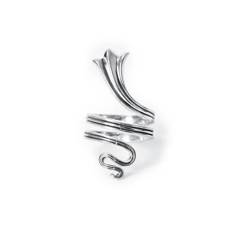 Armor-ring Armor ring